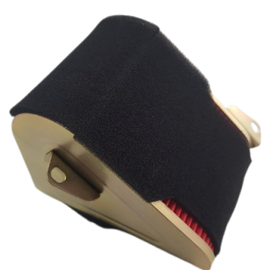 Triangle Air Filter GY6