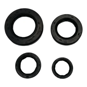 Oil Seal Kits